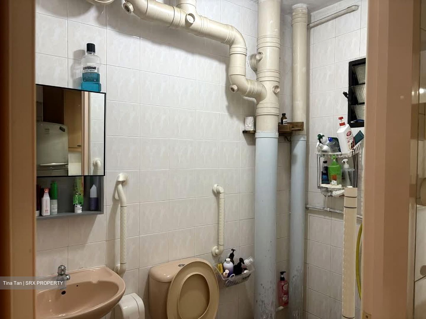Blk 239 Compassvale Plains (Sengkang), HDB 5 Rooms #528803811